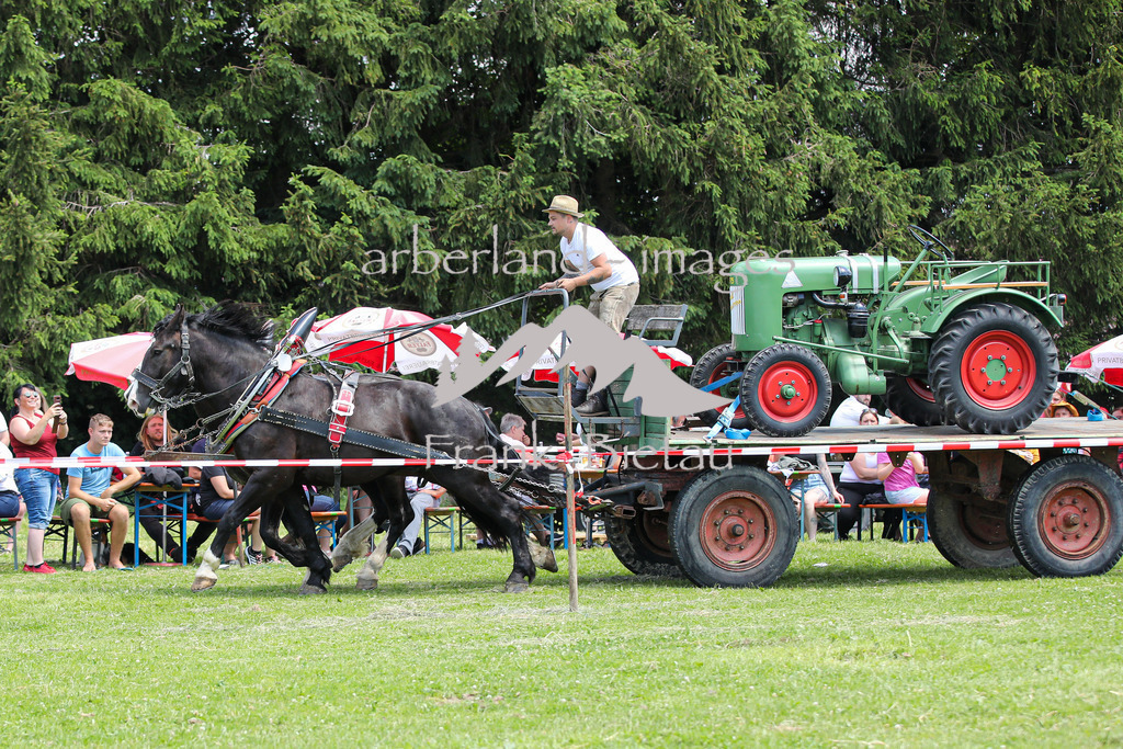 OE7A4528 | Beim Zugpferdetreffen in Poschedtsried galt es verschiedene Wettbewerbe zu meistern, Einzelrennen im Reiten, Traktorpulling und auch ein Hunderennen wurde veranstaltet