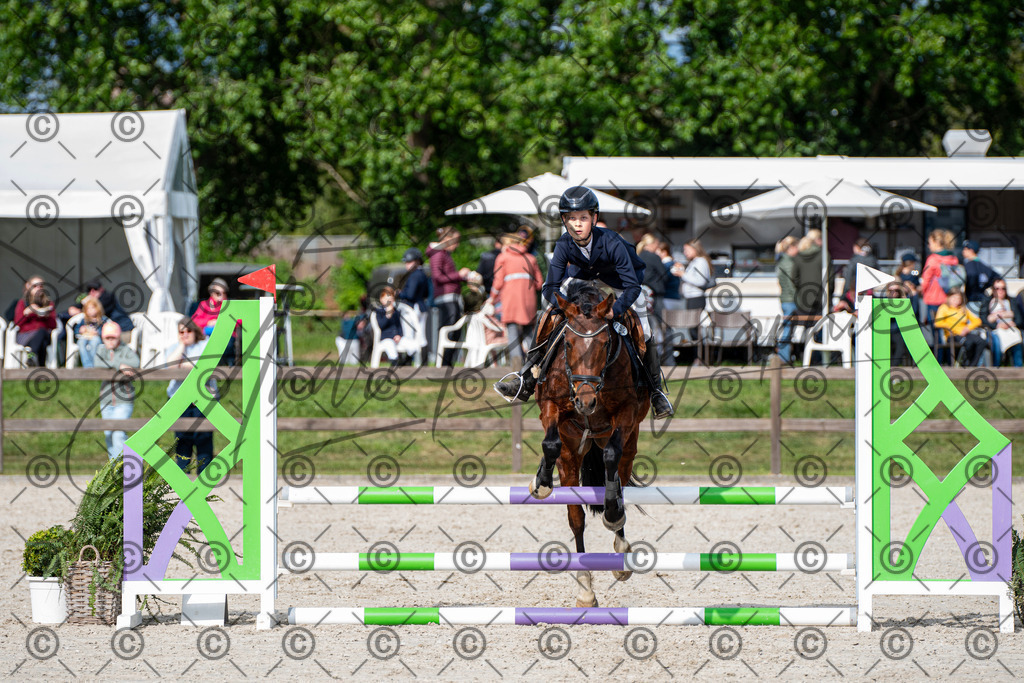 KPT_6736 | andre_photographic