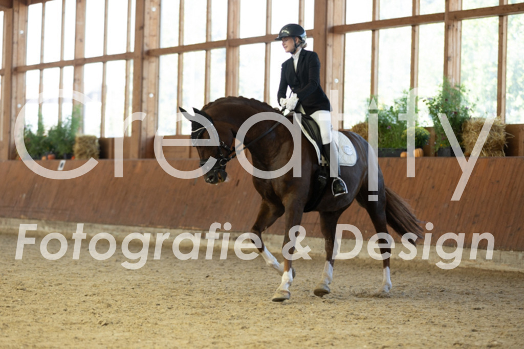 IMG_9221 | Creatify Fotografie