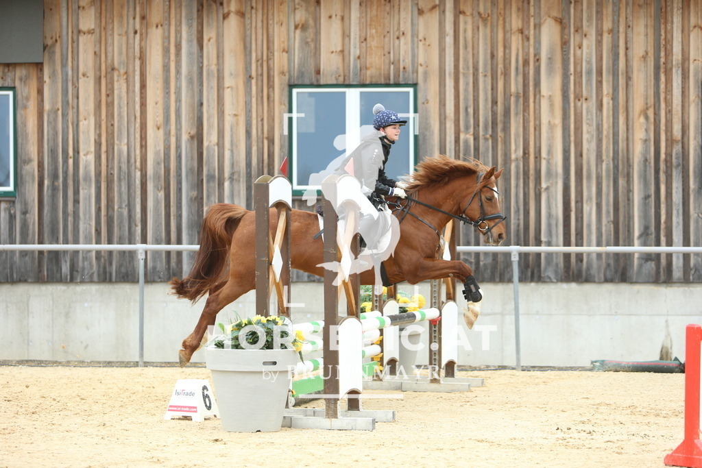 DL2Q2331 | Willkommen bei Brunnmayr - Design & Fotografie – Ihrem Spezialisten für Reitturniere und Pferdeveranstaltungen in Oberösterreich, Salzburg und Bayern! Seit über 17 Jahren sind wir leidenschaftlich dabei.