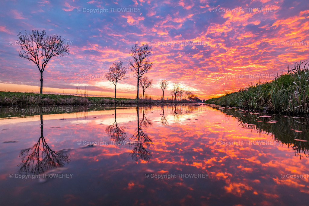 _1032676 | thowehey - Realisiert mit Pictrs.com