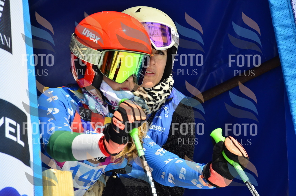 _ELE0981 | holidayphoto