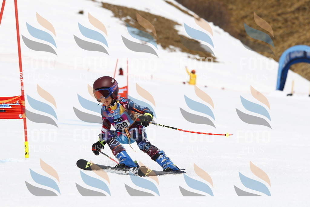 _U3G6083 | holidayphoto