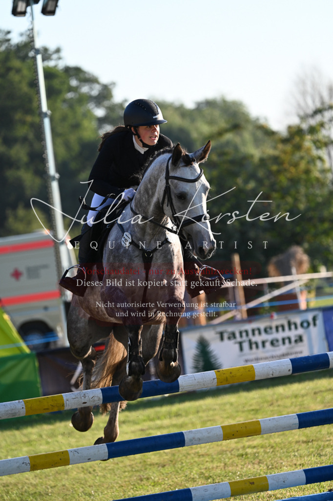 DSC_4151 | Pferde- und Turnierfotografie in Westsachsen. Pferdeportraits, Auftragszeichnungen und intuitive Kunst.