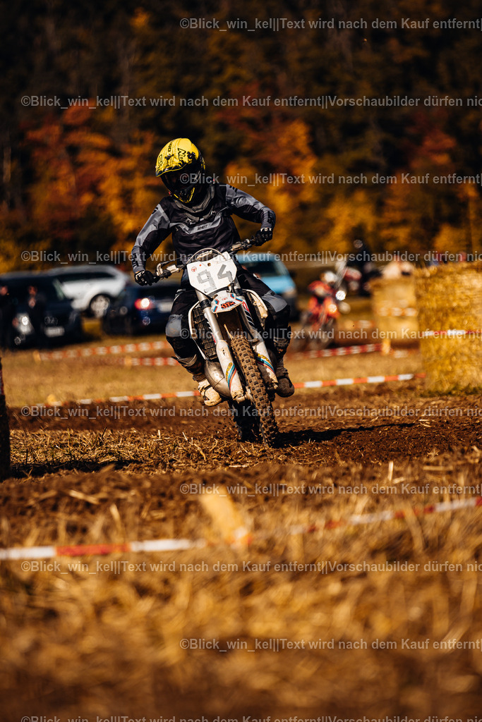 E68A8187 | blick_win_kel