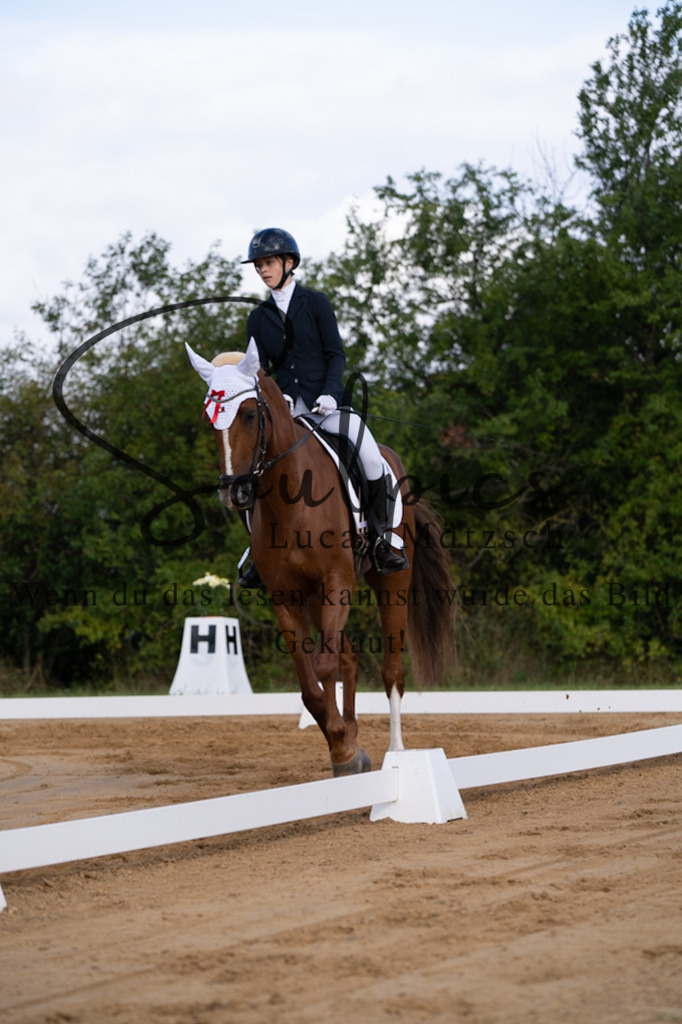 A7V05125 | Pferdefotograf