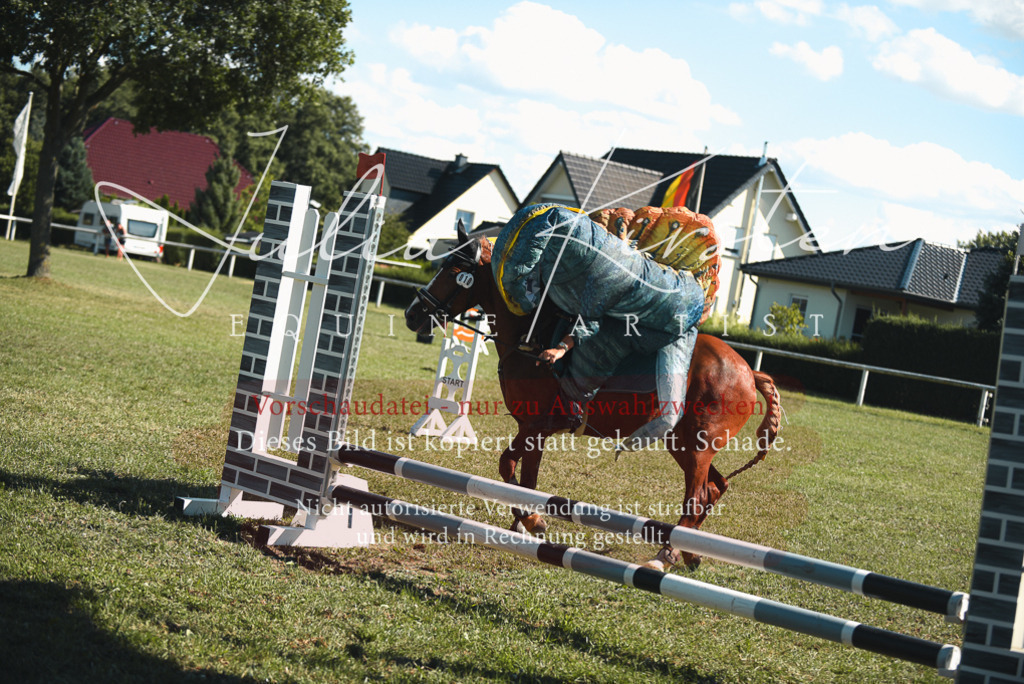 DSC_7640 | Pferde- und Turnierfotografie in Westsachsen. Pferdeportraits, Auftragszeichnungen und intuitive Kunst.