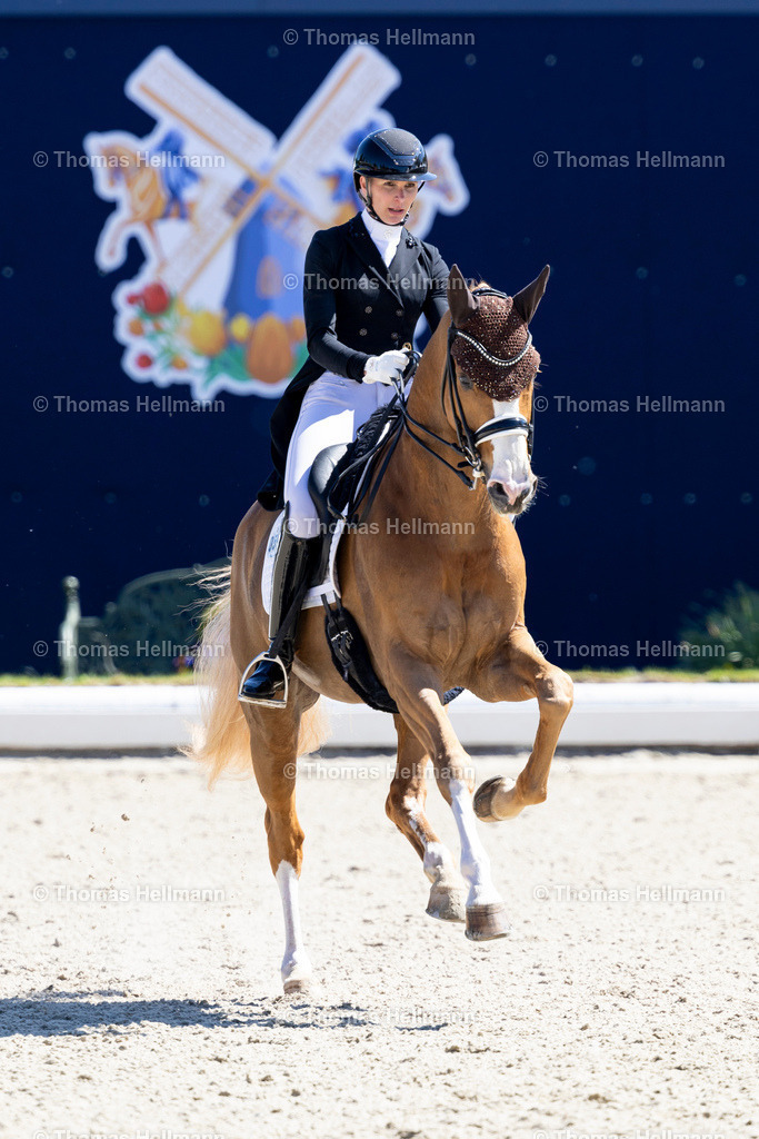 TH_594-Borghese MT-Soddemann_ Kira Laura_27951 | Horses &amp; Dreams meets the Netherlands 2025 am 27.04.25 in Hagen a.T.W., 594Borghese MTSoddemann, Kira Laura