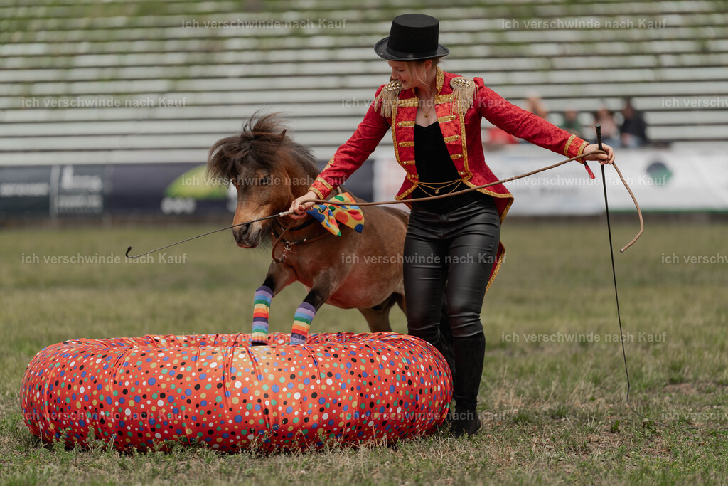 Showprogramm-227 | working equitationturnier fotograf videograf stoibphotography marixx film working equitation deutschland reitsport turnierfotografie eventfotografie equestrian events