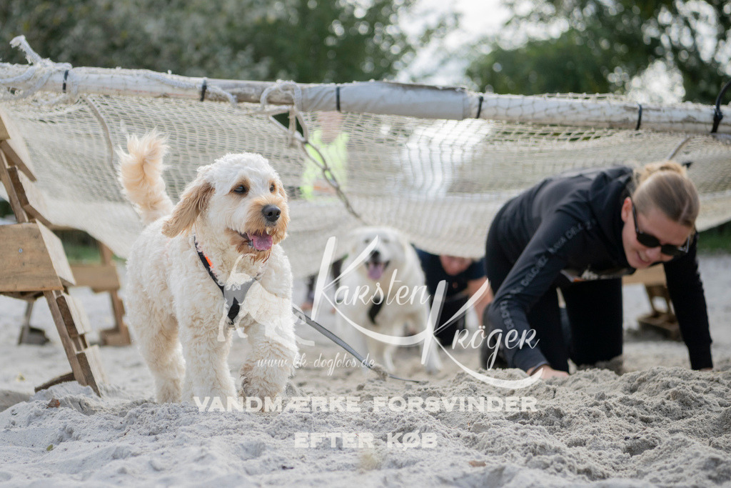 1330_ZZ97248 | kk-dogfotos