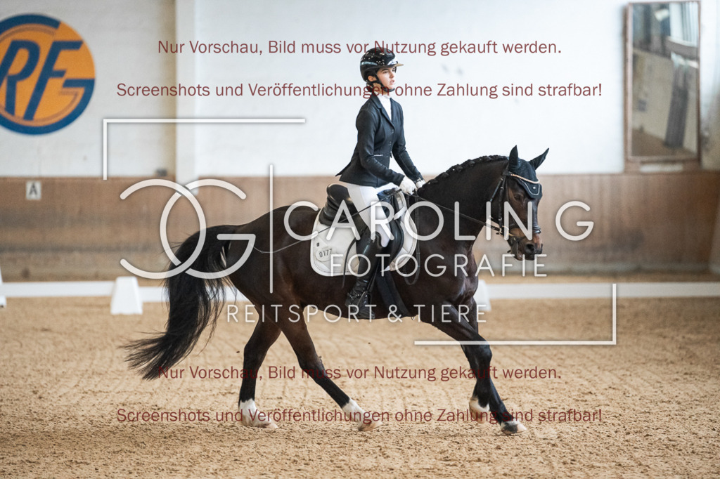 DSC01810 | Reitturnier_Göppingen_April_2026, Katharina_Stahl, Bellino_32