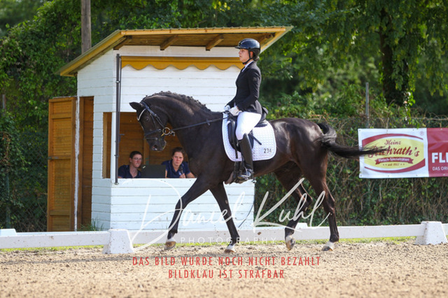 DKP42960 | Turniersportfotografie; Pferdefotografie; Dressurfotografie