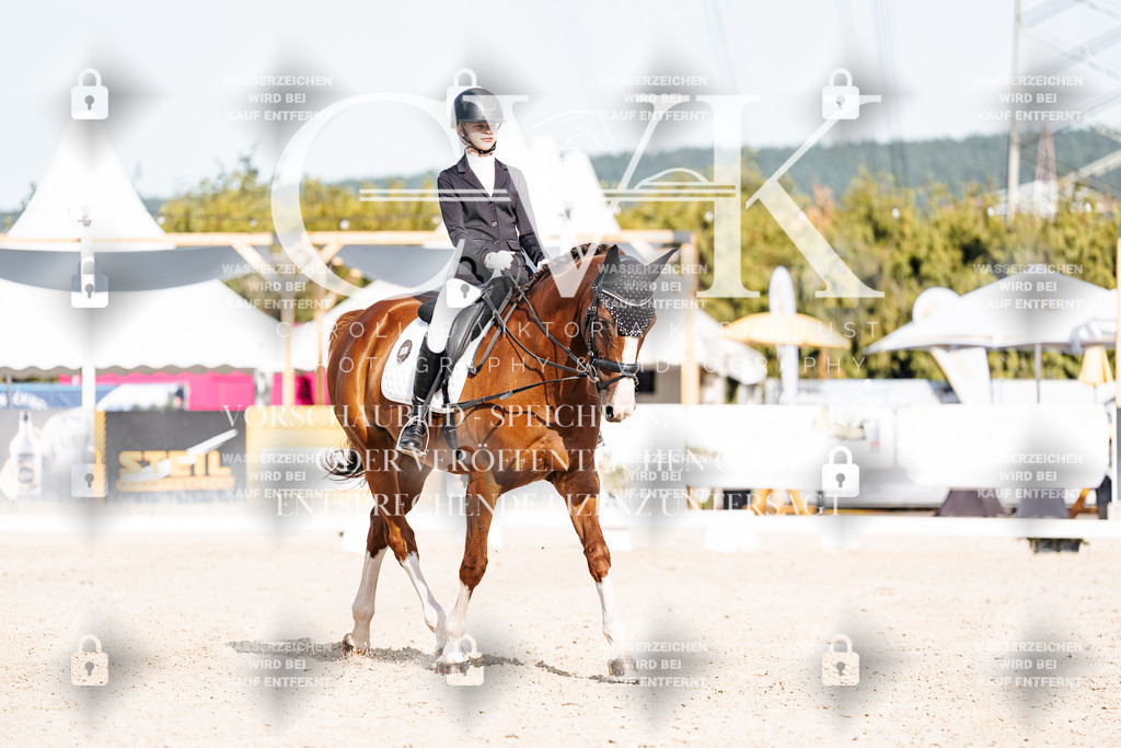 CK905563 | Turnierfotografie Pferdefotografie Trier Rheinland-Pfalz Pferdesport Reitsport Tierfotografie Sportfotografie Pferdevideo Pferdevideografie Equestrianvideography equestrianphotography  - Realisiert mit Pictrs.com
