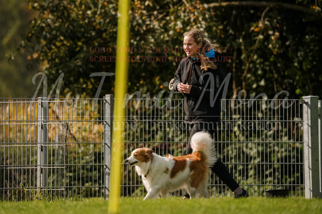20251005_THS_Turnier-746 | MuT (Mensch und Tier) mit Mona - Fotografie und Tierkommunikation - Realisiert mit Pictrs.com