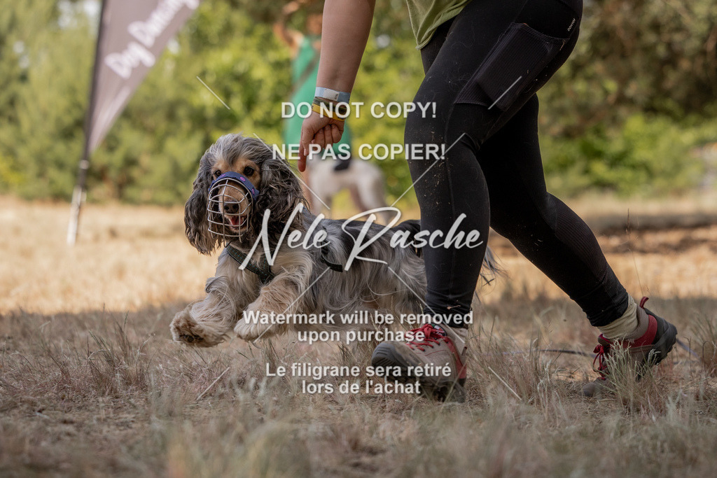 nelerasche_soDD2_367 | nelerasche