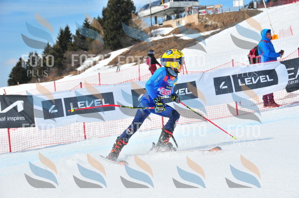 DSC_6982 | holidayphoto