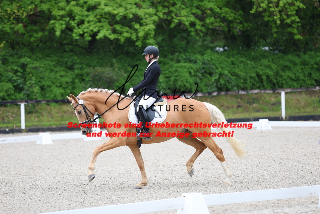 A40A7044 | lmwpictures - Realisiert mit Pictrs.com