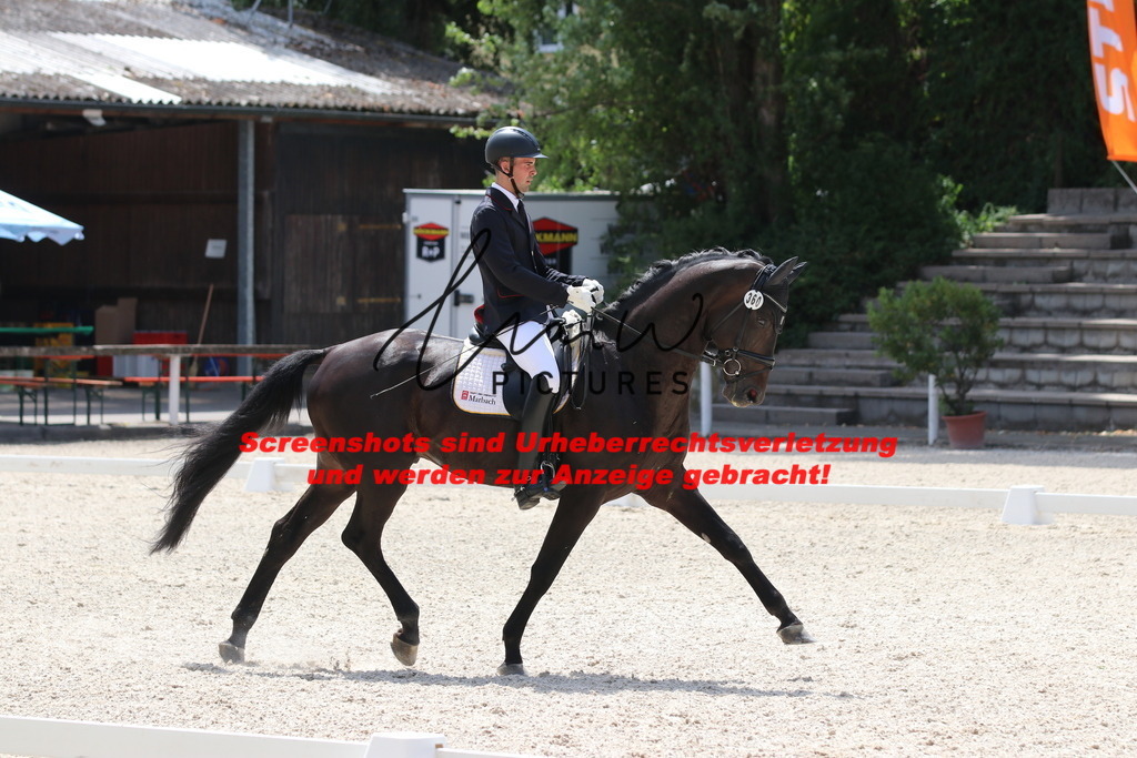 IMG_4816 | lmwpictures - Realisiert mit Pictrs.com