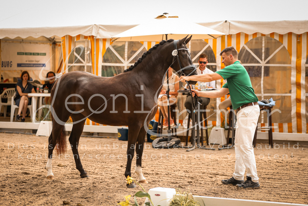 12.So00004 | Leoni Ertmer Photography - Realisiert mit Pictrs.com