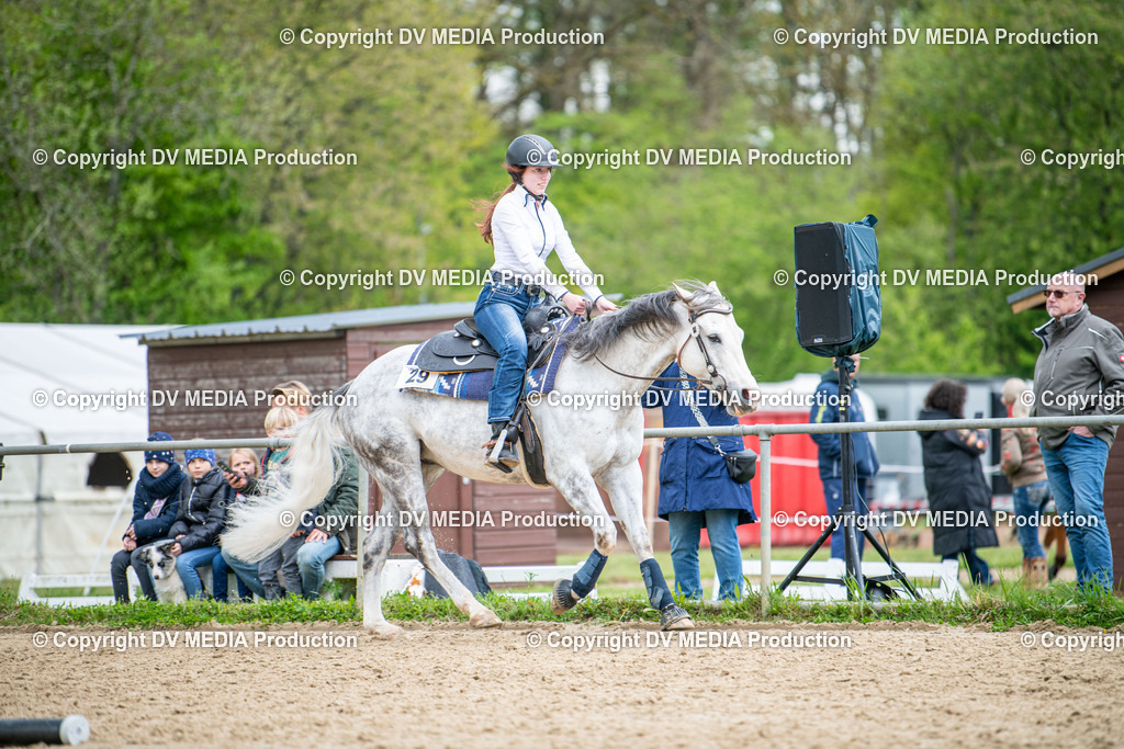 Heiligenwald Tag 1-1267 | dv-media-shop - Realisiert mit Pictrs.com