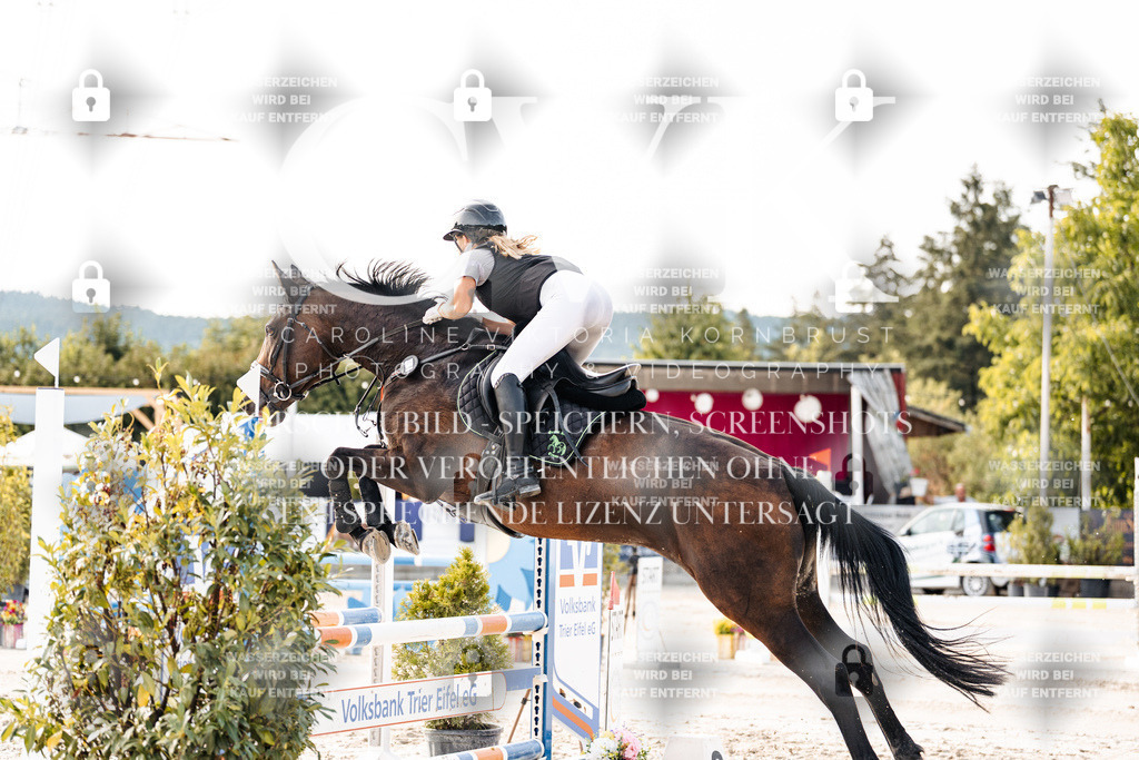 CK906148 | Turnierfotografie Pferdefotografie Trier Rheinland-Pfalz Pferdesport Reitsport Tierfotografie Sportfotografie Pferdevideo Pferdevideografie Equestrianvideography equestrianphotography  - Realisiert mit Pictrs.com