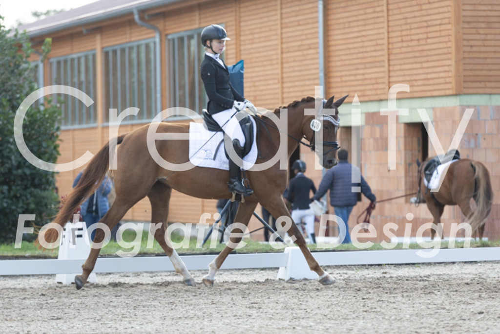 IMG_9847 | Creatify Fotografie