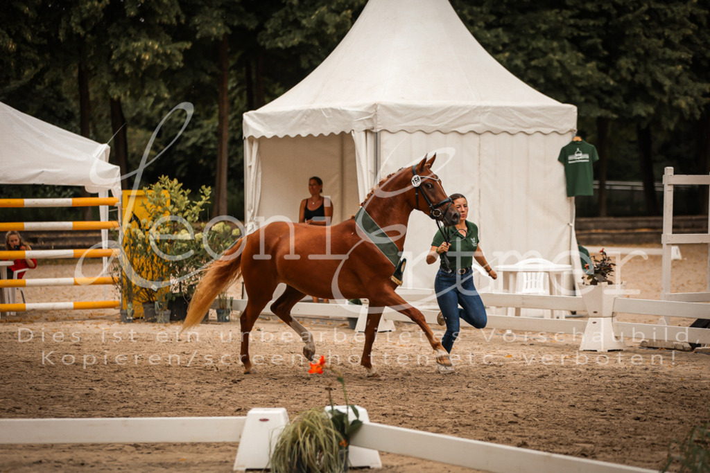 10.-12.Elite00140 | Leoni Ertmer Photography - Realisiert mit Pictrs.com