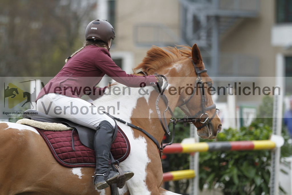 _MG_5870 | equestrian-live-com