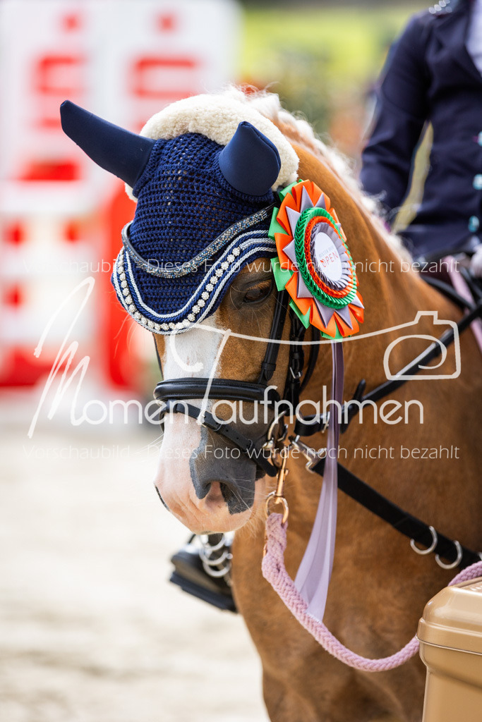 BHO-Führzügel2-022 | MomenTaufnahmen Pferdesportfotos
