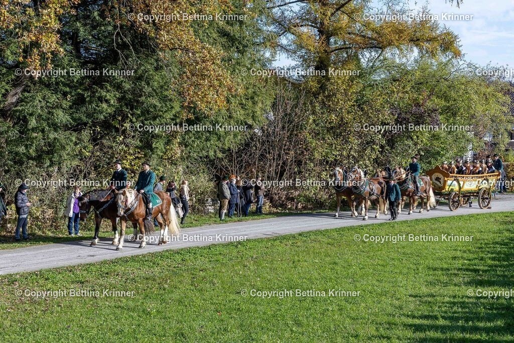 LBT24-508 | foto-bettina-krinner - Realisiert mit Pictrs.com