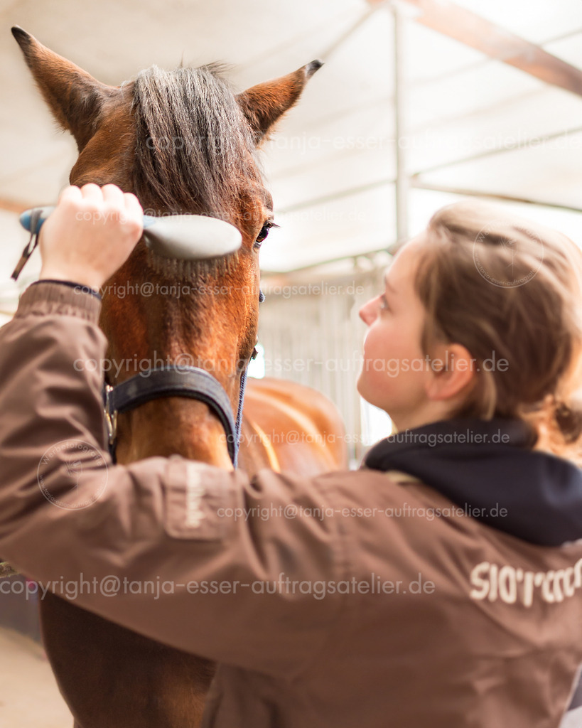 Young woman is brushing the mane of her horse | Im Stall steht eine junge Reiterin mit ihrem Rennpferd, einem Hannoveraner. Liebevoll bürstet sie die Mähne auf der Stirn des Pferdes.