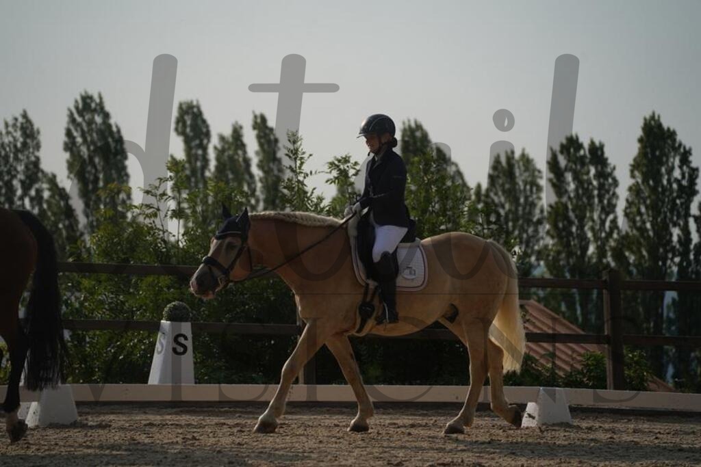 tgbhfreitag (1937) | d.tail Visions - Shop - Realisiert mit Pictrs.com