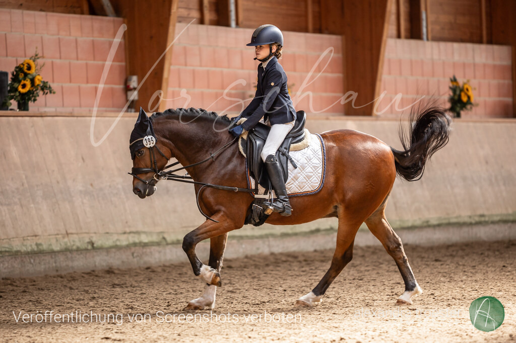 250913_Barop_28_264 | farbklaex.com