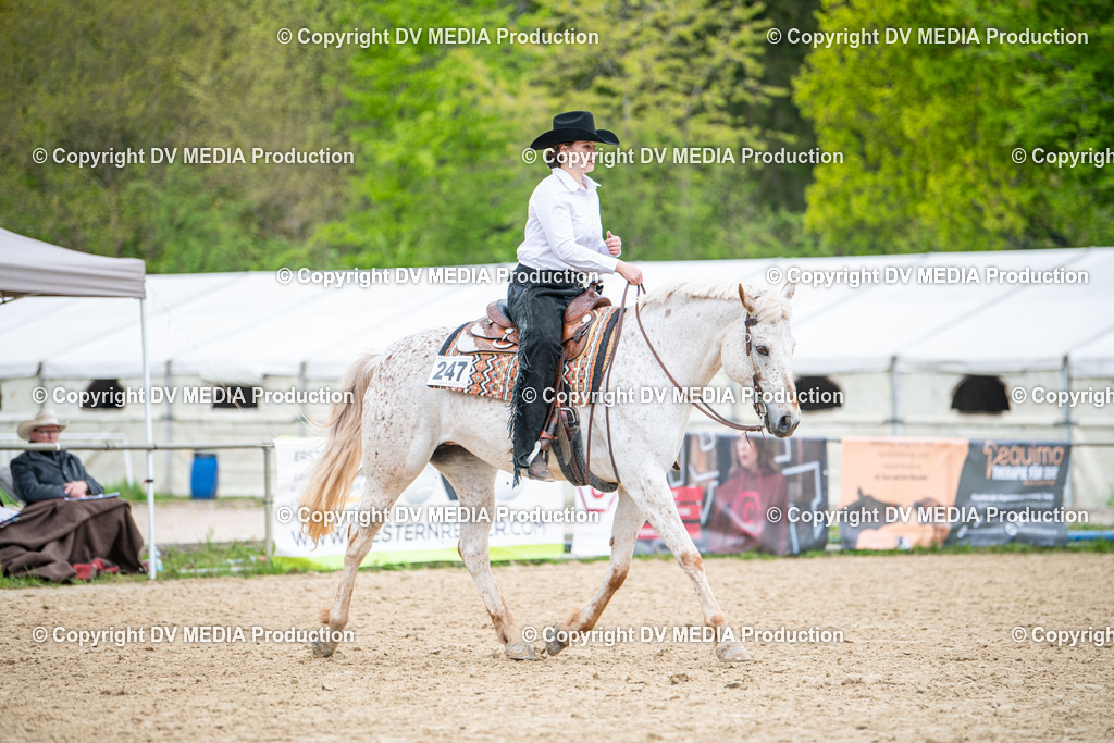 Heiligenwald Tag 1-2036 | dv-media-shop - Realisiert mit Pictrs.com