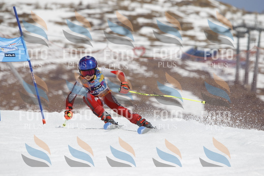 _U3G2644 | holidayphoto