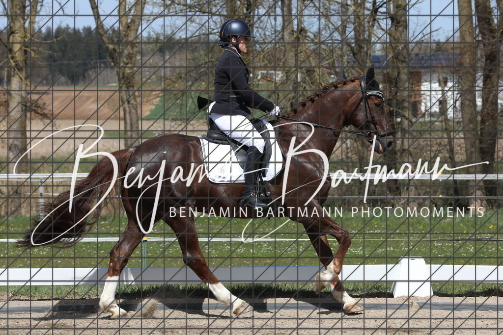 AZ2A4035 | Benjamin Bartmann Photomoments