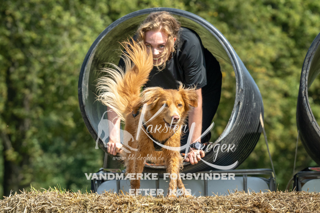 1307_ZZ92243 | kk-dogfotos