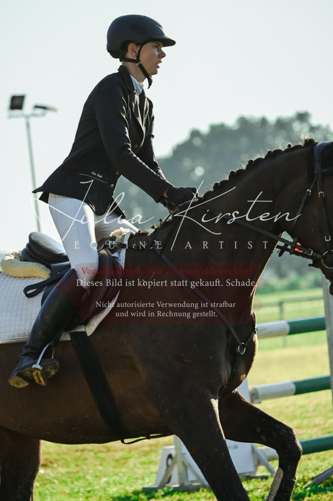 DSC_4185 | Pferde- und Turnierfotografie in Westsachsen. Pferdeportraits, Auftragszeichnungen und intuitive Kunst.
