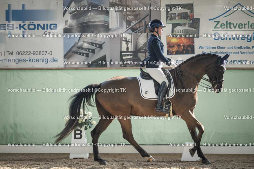 _D5A2854 | Emotionale Pferde- & People-Fotografie rund um Heidelberg, Leimen & Umgebung. Natürliche Fotos von Pferd, Mensch & Familie. Jetzt Termin sichern!