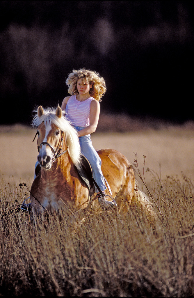 00836b Teen | junges MÄdchen reitet auf einem Haflinger de Ponyhofes Offenburg