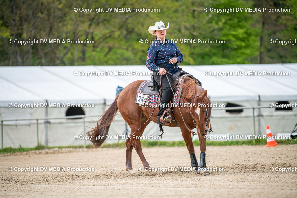 Heiligenwald Tag 2-2205 | dv-media-shop - Realisiert mit Pictrs.com