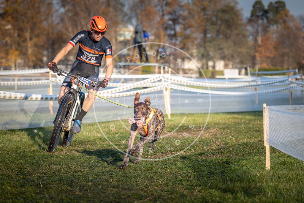 CaniXpix_0L8A3693 | Hundefotografie, Tierfotograf, Pfotenfotografie, Fotoshooting Hund, Hunde Portrait, Hundesport, Hundeportraits, Heideshooting, Hunde, Sportfotograf, Hundefotograf, Turnierhundsport, THS,  - Realisiert mit Pictrs.com