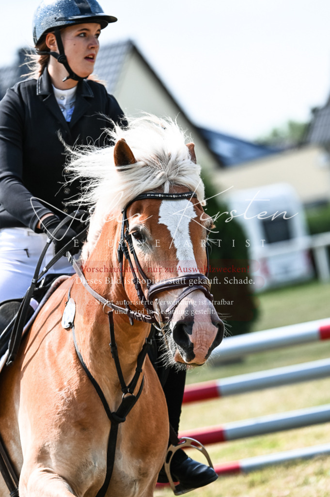 DSC_8739 | Pferde- und Turnierfotografie in Westsachsen. Pferdeportraits, Auftragszeichnungen und intuitive Kunst.