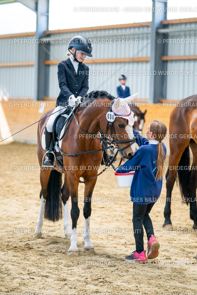 DSC01157 | Pferdegrafie