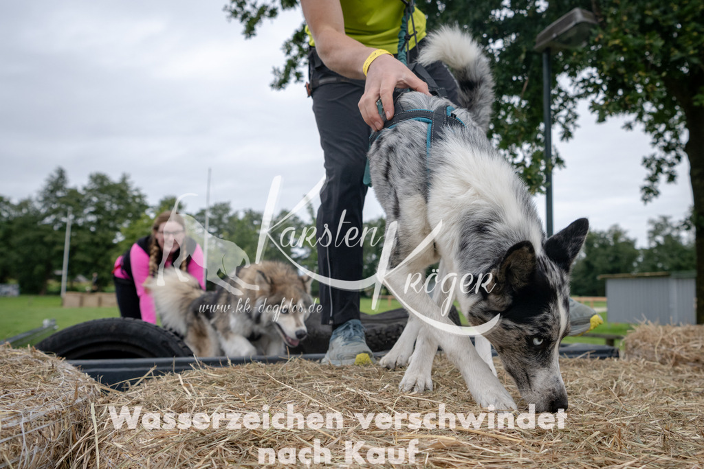 1212_ZZ94894 | kk-dogfotos
