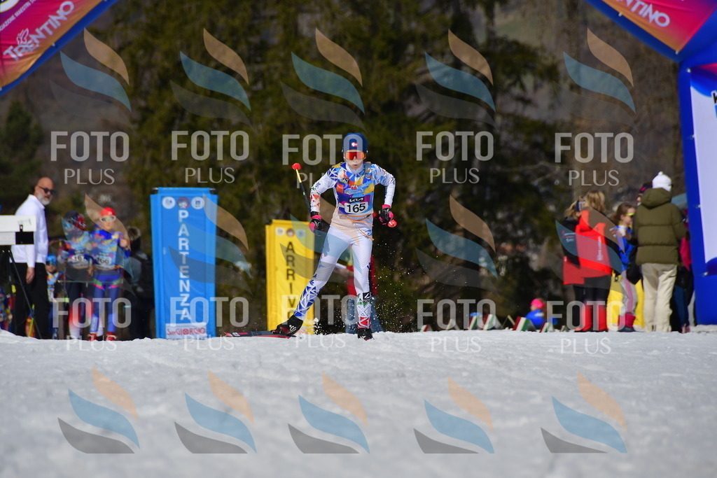 _DSC0486 | holidayphoto