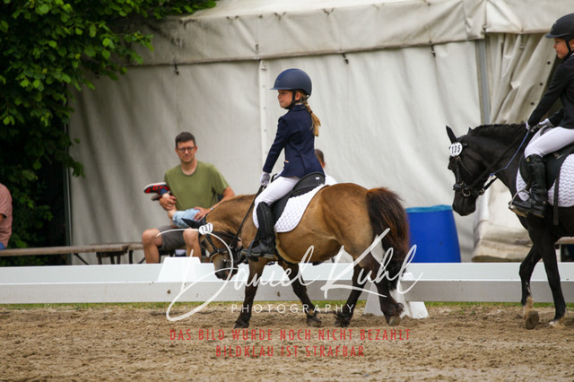 DKP47493 | Turnierfotos kaufen im Webshop von Daniel Kuhl Photography – entdecke professionelle Reitsportfotos aus Turnieren & Events. Hochwertige Turnierbilder online bestellen & sichern. Jetzt Fotos von Reitsportturnieren kaufen!