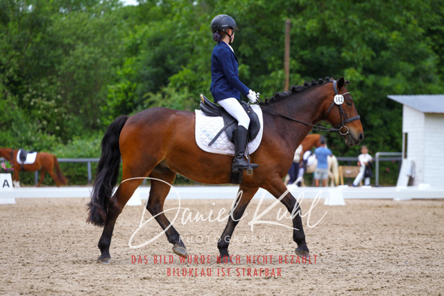 DKP46259 | Turnierfotos kaufen im Webshop von Daniel Kuhl Photography – entdecke professionelle Reitsportfotos aus Turnieren & Events. Hochwertige Turnierbilder online bestellen & sichern. Jetzt Fotos von Reitsportturnieren kaufen!