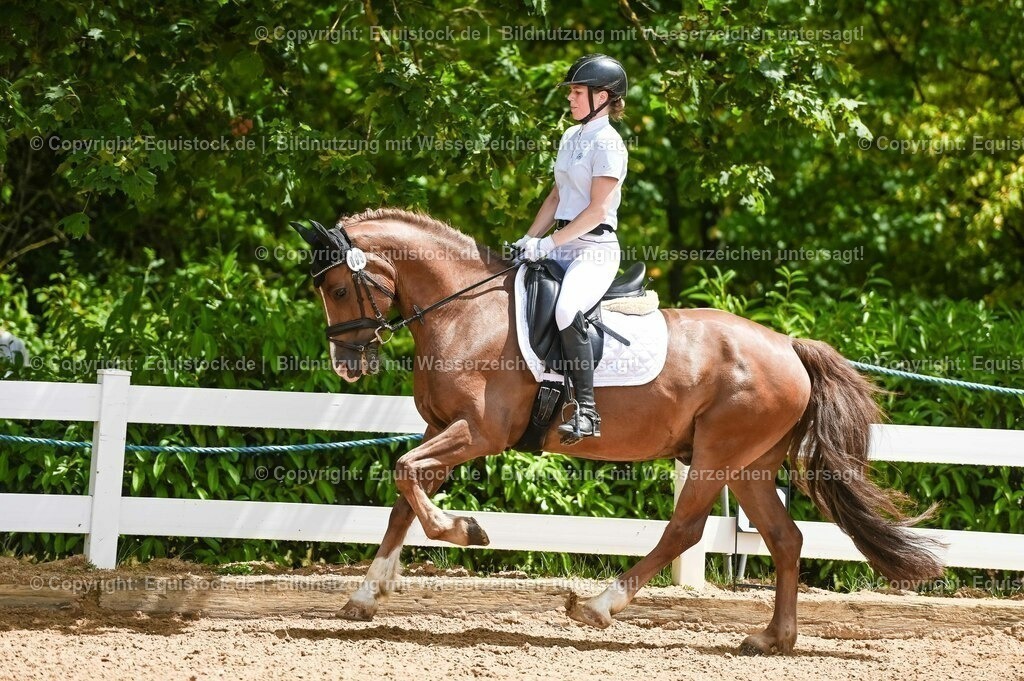 20230715_05_Dressurprüfung Kl.A++_0226 | equistock
