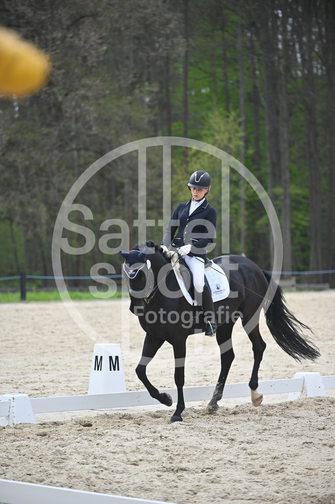 DSC_5266 | sattelsport - Realisiert mit Pictrs.com